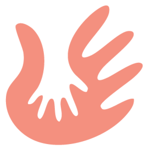 cropped-2e8ae971cfae08ea3ff31c956.png